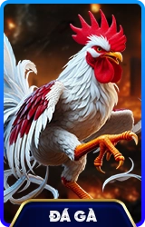 78WIN ⚽️ Trang Chủ Chính Thức 78WIN.COM Tặng 75K 2026 3 da ga 78win school